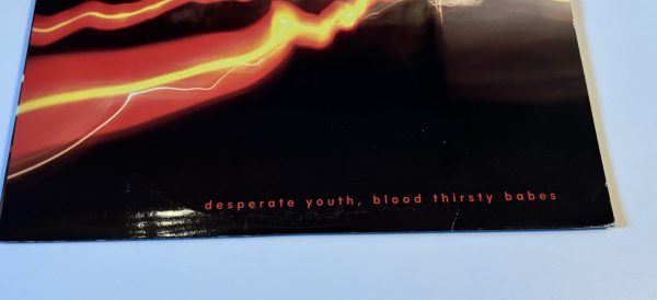 Tv On The Radio - Desperate Youth, Blood Thirsty Babes - Image 4