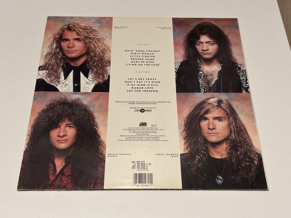 White Lion - Big Game - Image 2