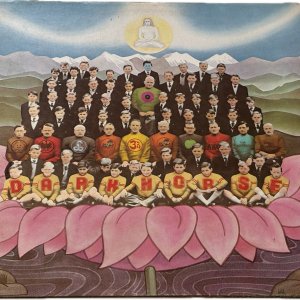 George Harrison - Dark Horse