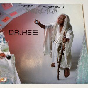 Scott Henderson And Tribal tech - Dr. Hee