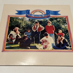 The Beach Boys - Sunflower